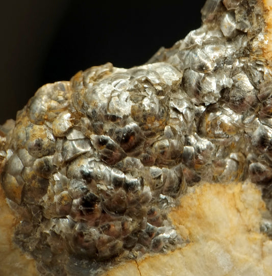 Glimmer - Brandberg, Namibia