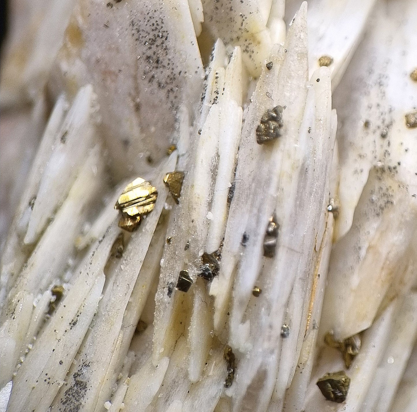 Baryte & Chalcopyrite - Dreislar, Sauerland