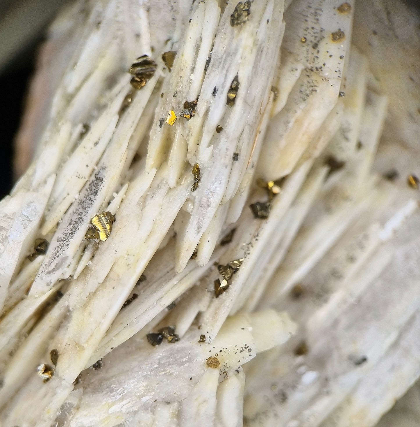 Baryte & Chalcopyrite - Dreislar, Sauerland