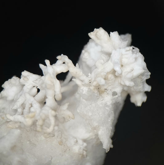 Aragonite var. Flos Ferri - Lavrion, Greece