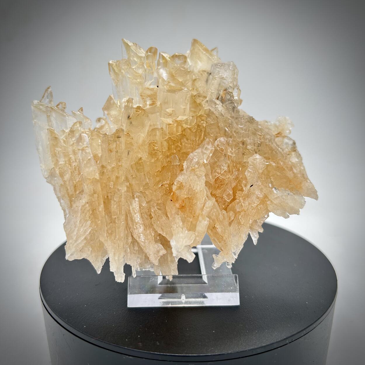 Gips/Gypsum - Bleicherode, Harz