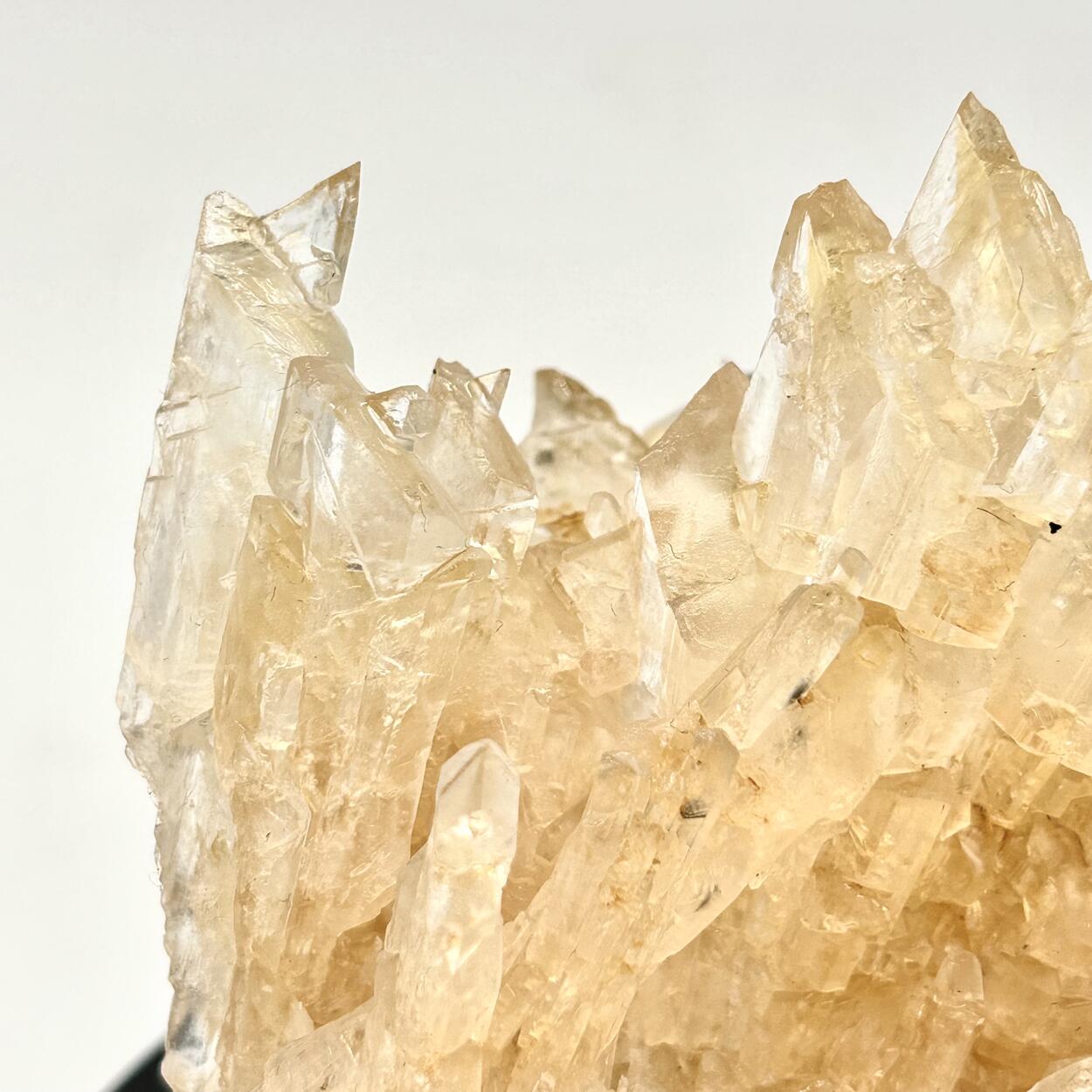 Gips/Gypsum - Bleicherode, Harz