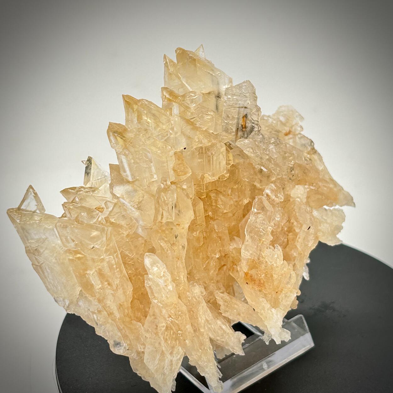 Gips/Gypsum - Bleicherode, Harz