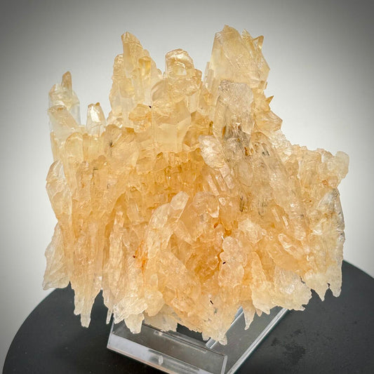 Gips/Gypsum - Bleicherode, Harz