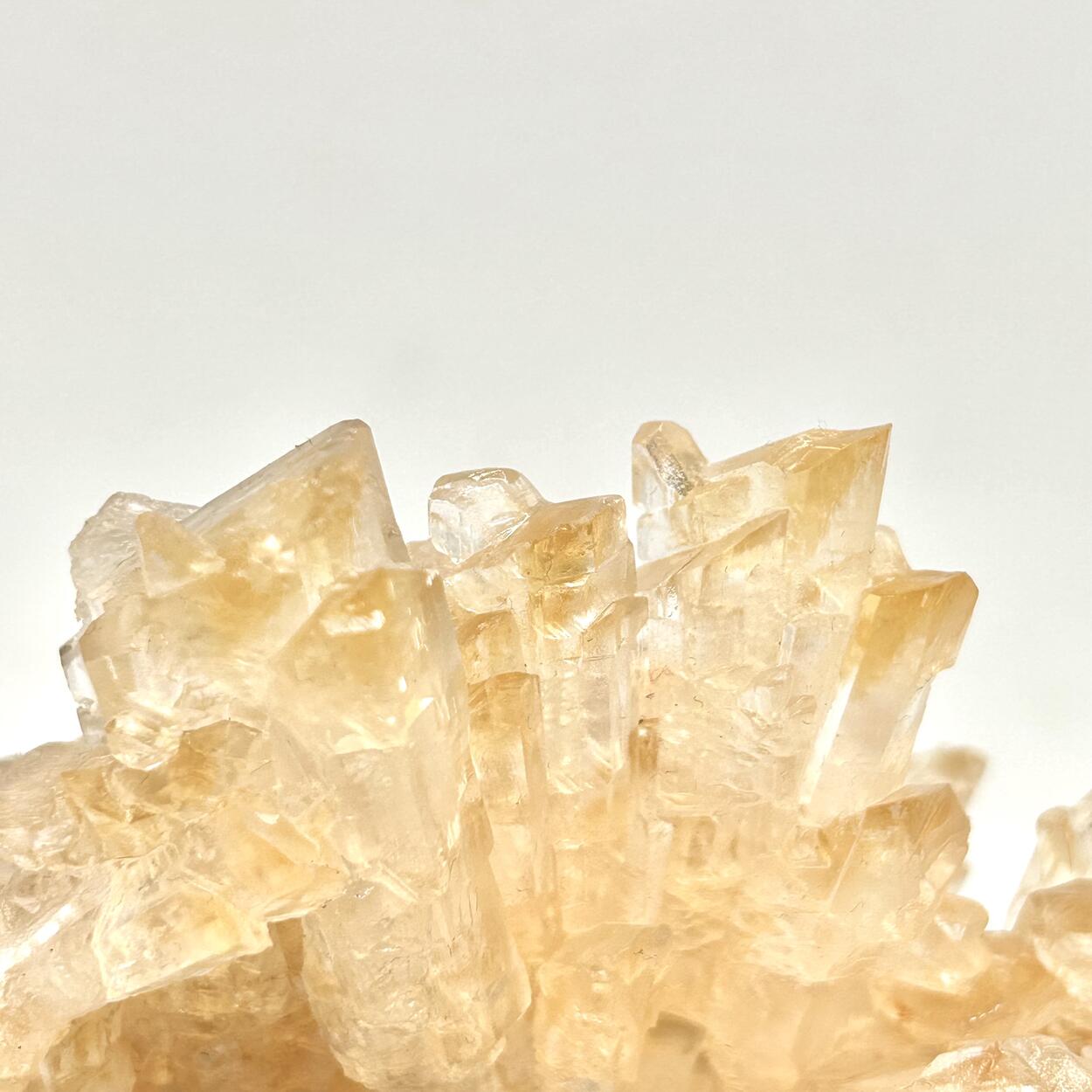 Gips/Gypsum - Bleicherode, Harz