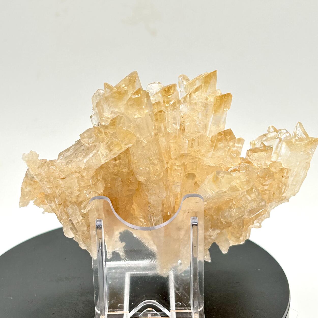 Gips/Gypsum - Bleicherode, Harz