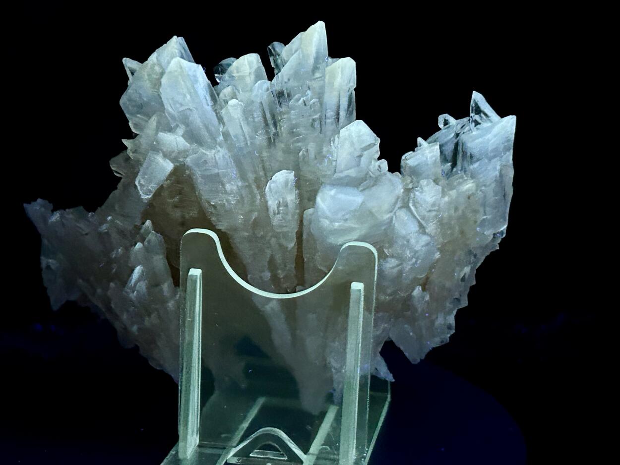 Gips/Gypsum - Bleicherode, Harz