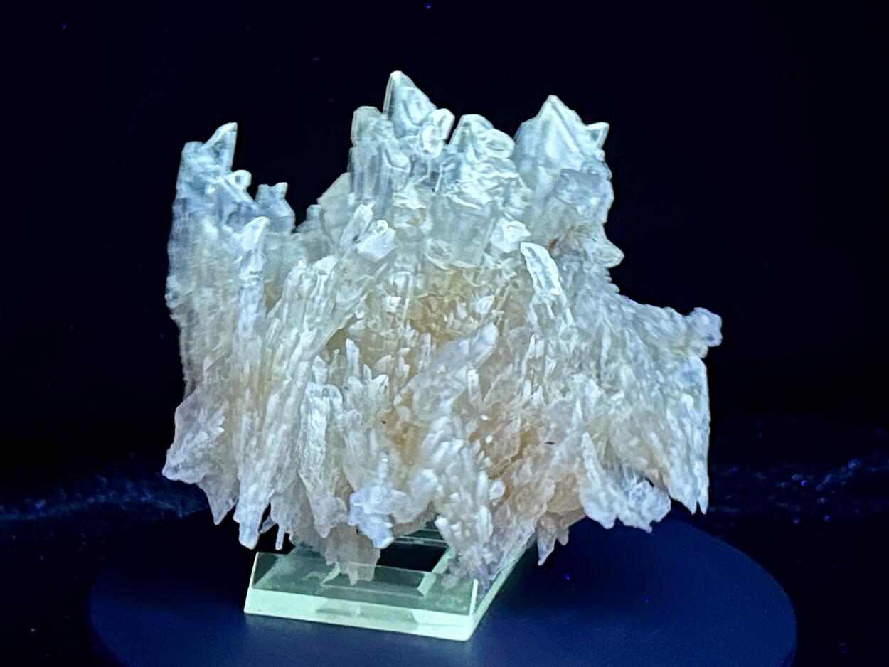 Gips/Gypsum - Bleicherode, Harz