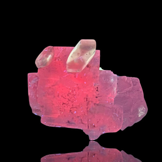 Halit/e & Gips/Gypsum - Bleicherode