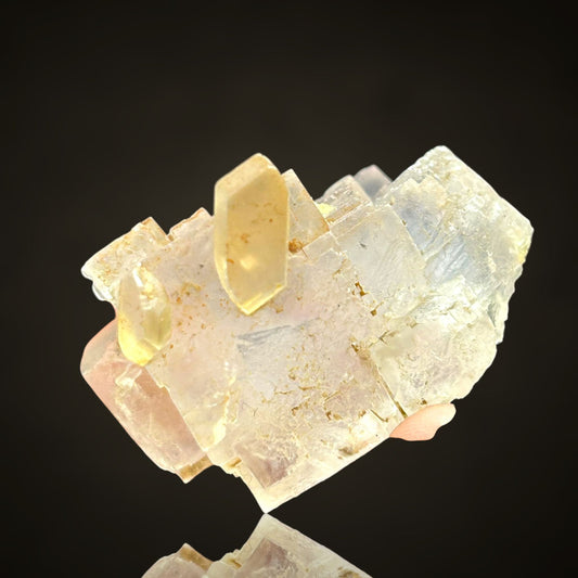 Halit/e & Gips/Gypsum - Bleicherode