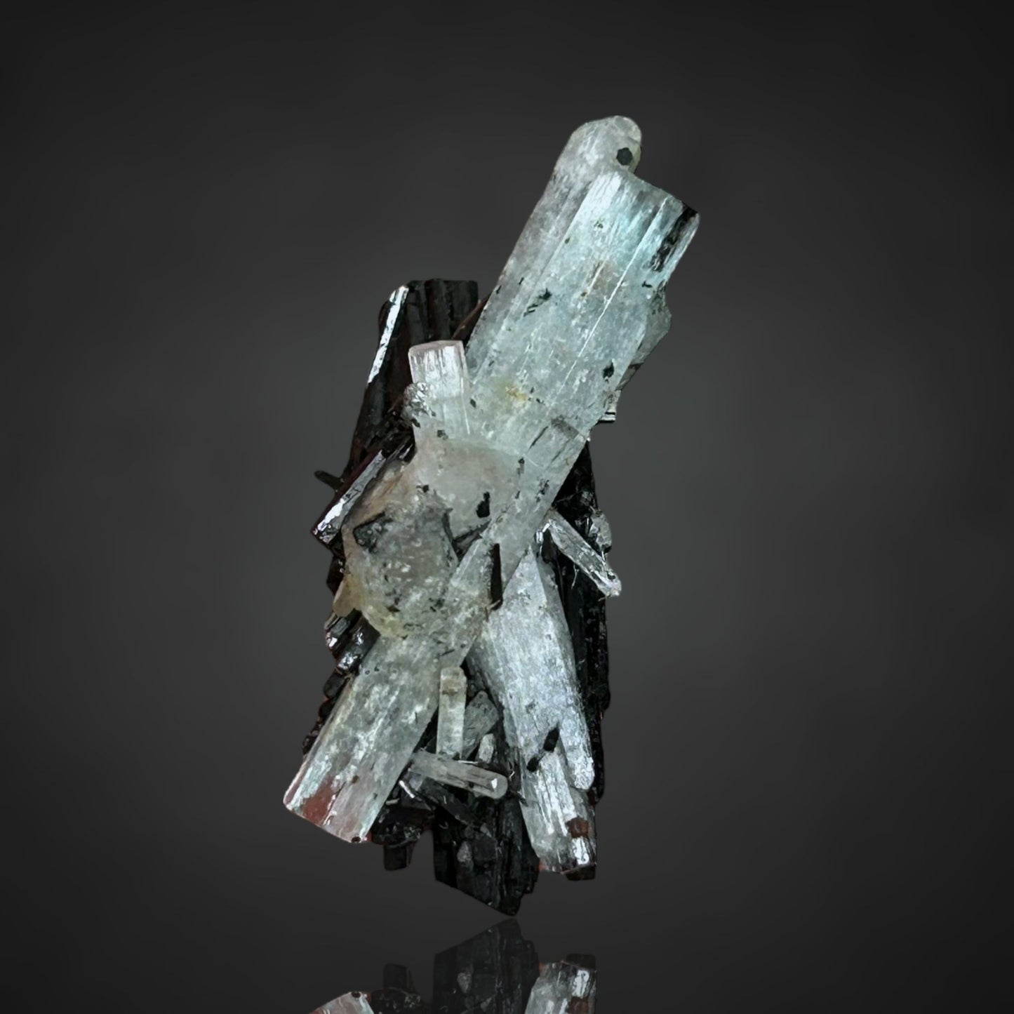 Aquamarin/e & Schörl/Schorl - Erongo, Namibia