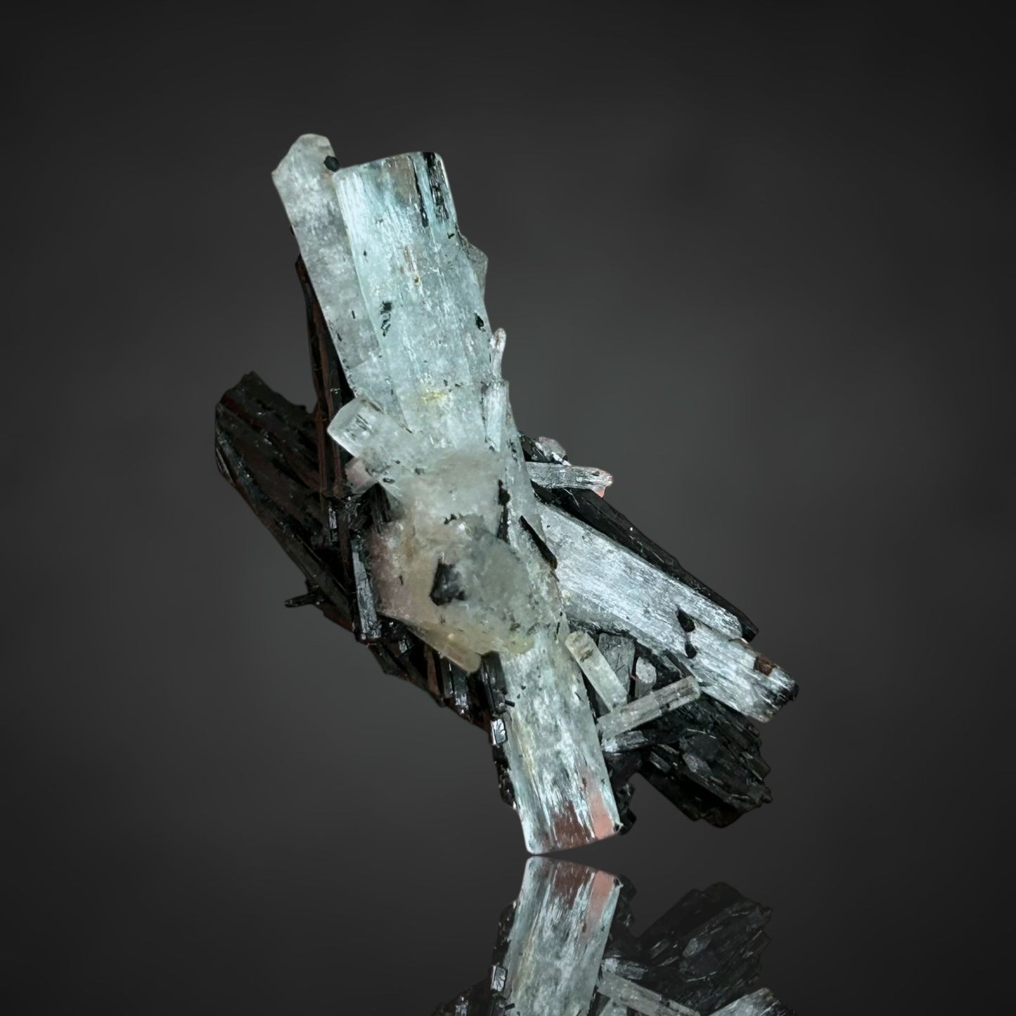 Aquamarin/e & Schörl/Schorl - Erongo, Namibia