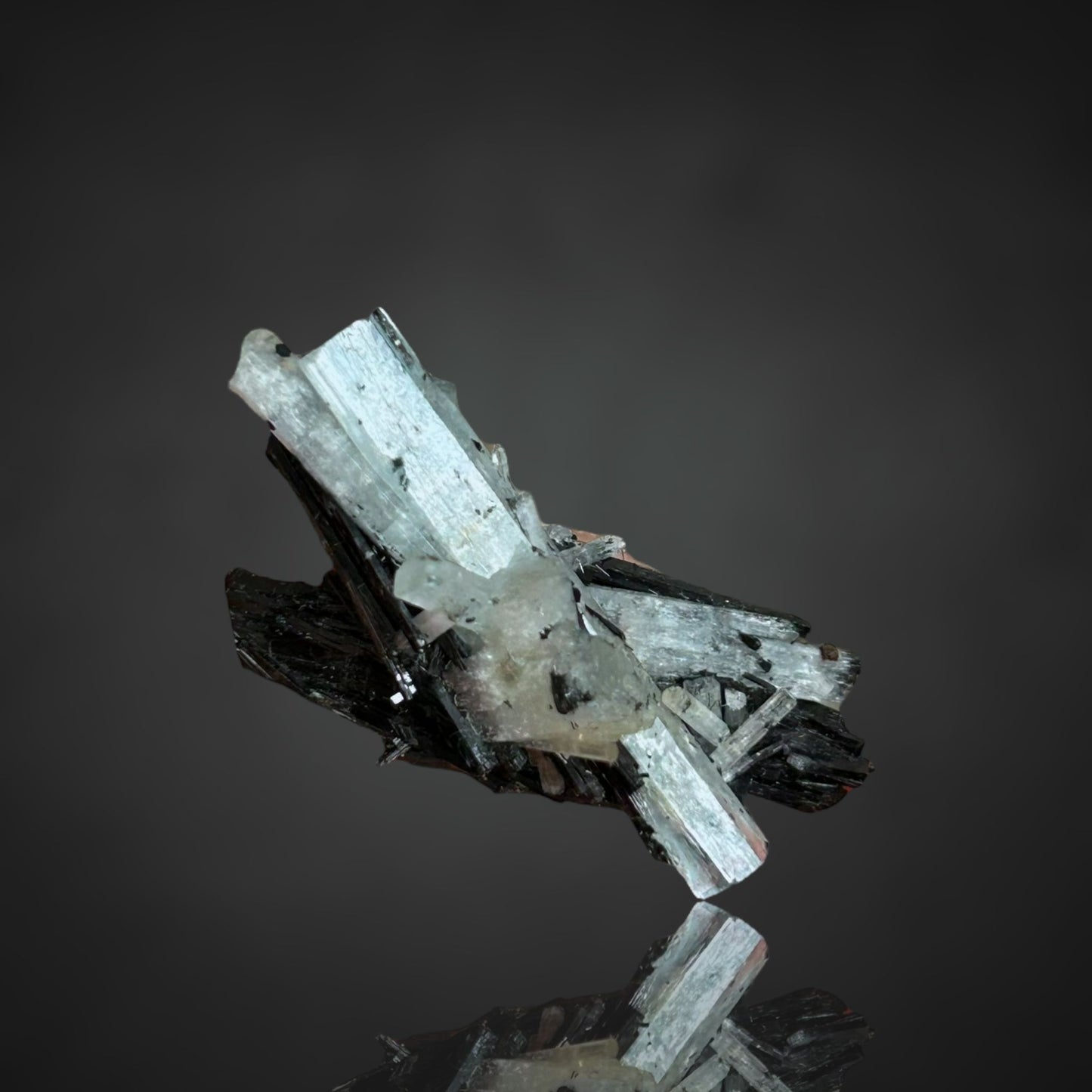 Aquamarin/e & Schörl/Schorl - Erongo, Namibia
