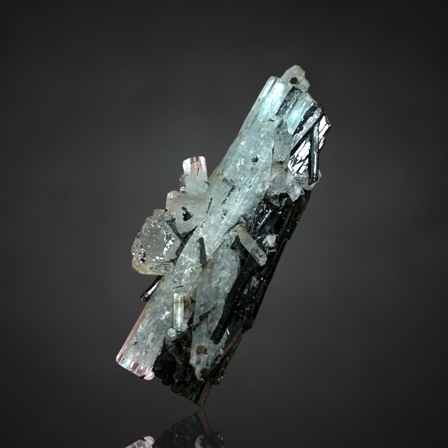 Aquamarin/e & Schörl/Schorl - Erongo, Namibia