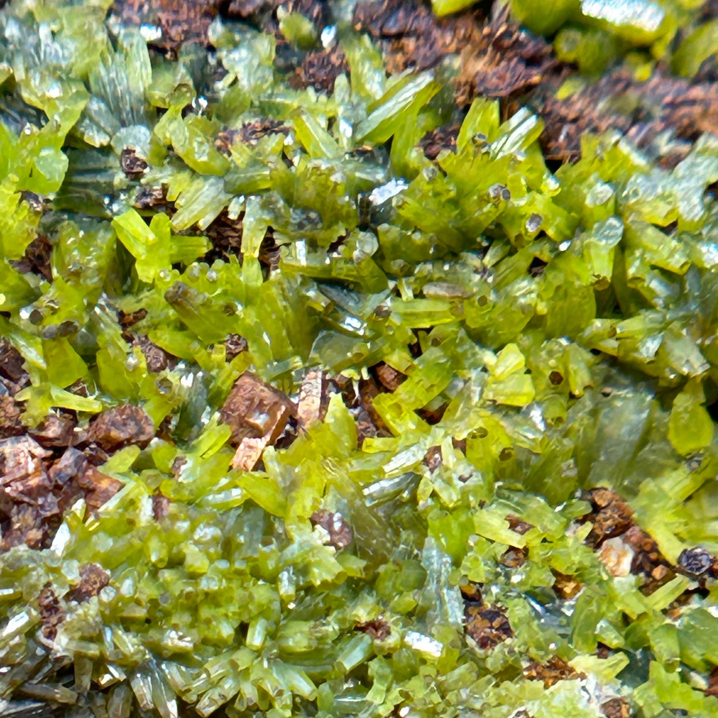 Pyromorphit/e - Hunsrück mountains, Germany