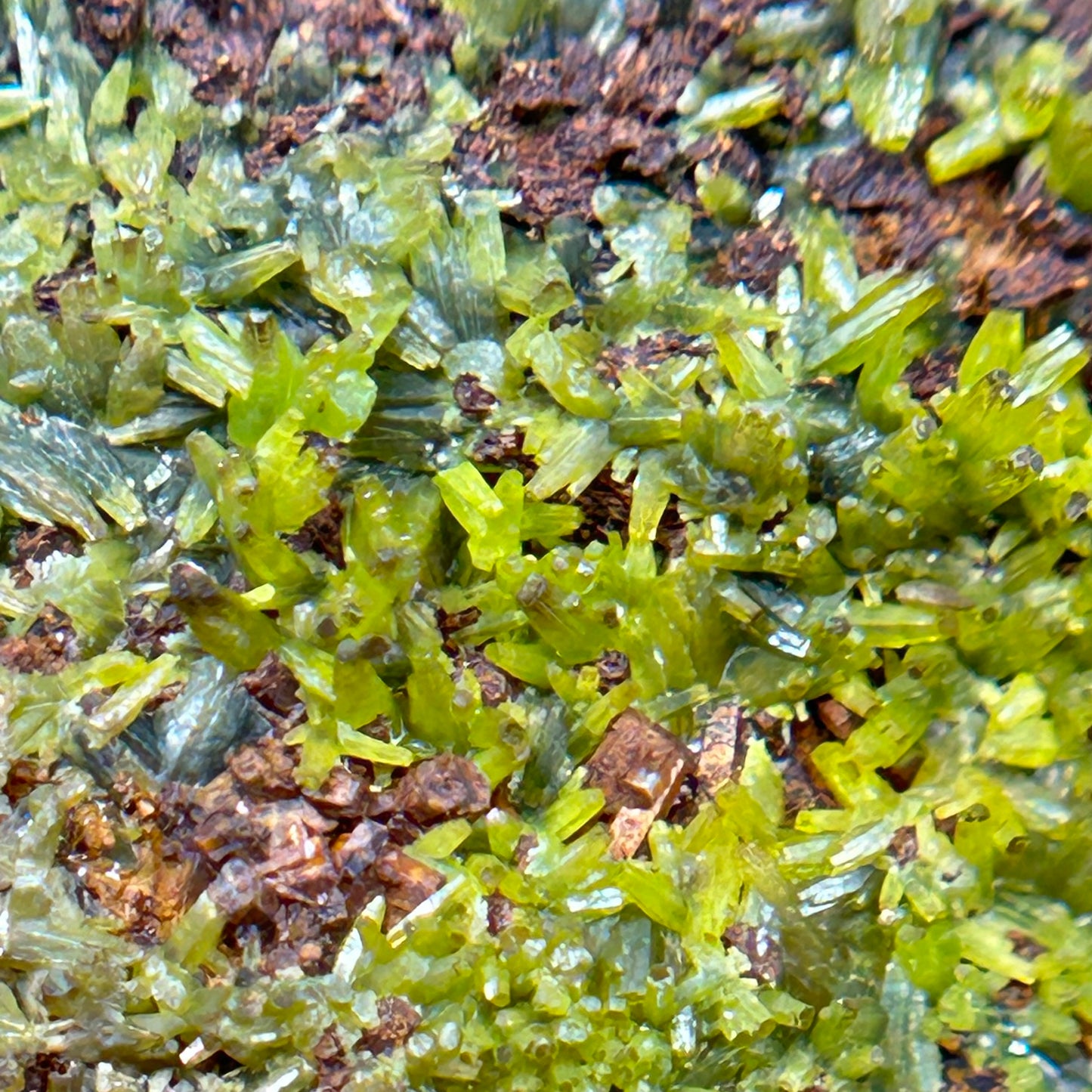 Pyromorphit/e - Hunsrück mountains, Germany