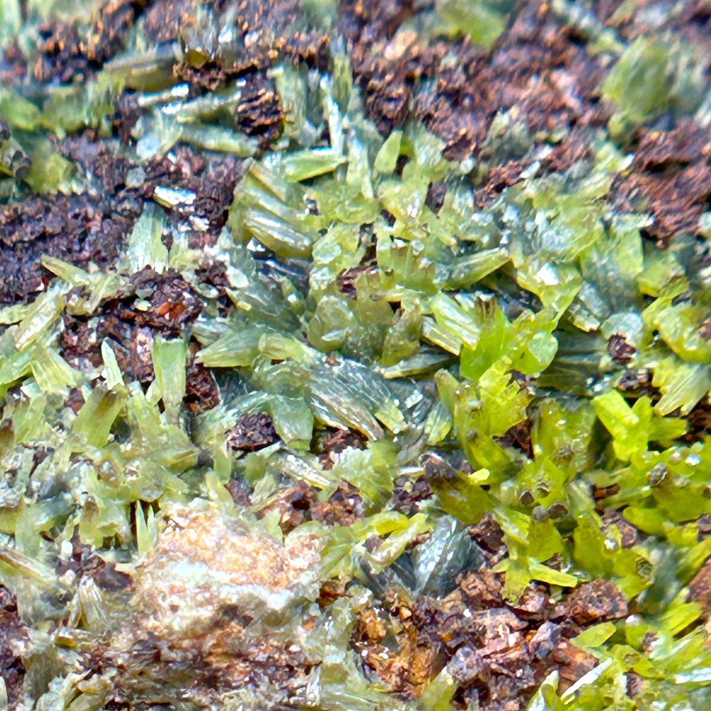 Pyromorphit/e - Hunsrück mountains, Germany