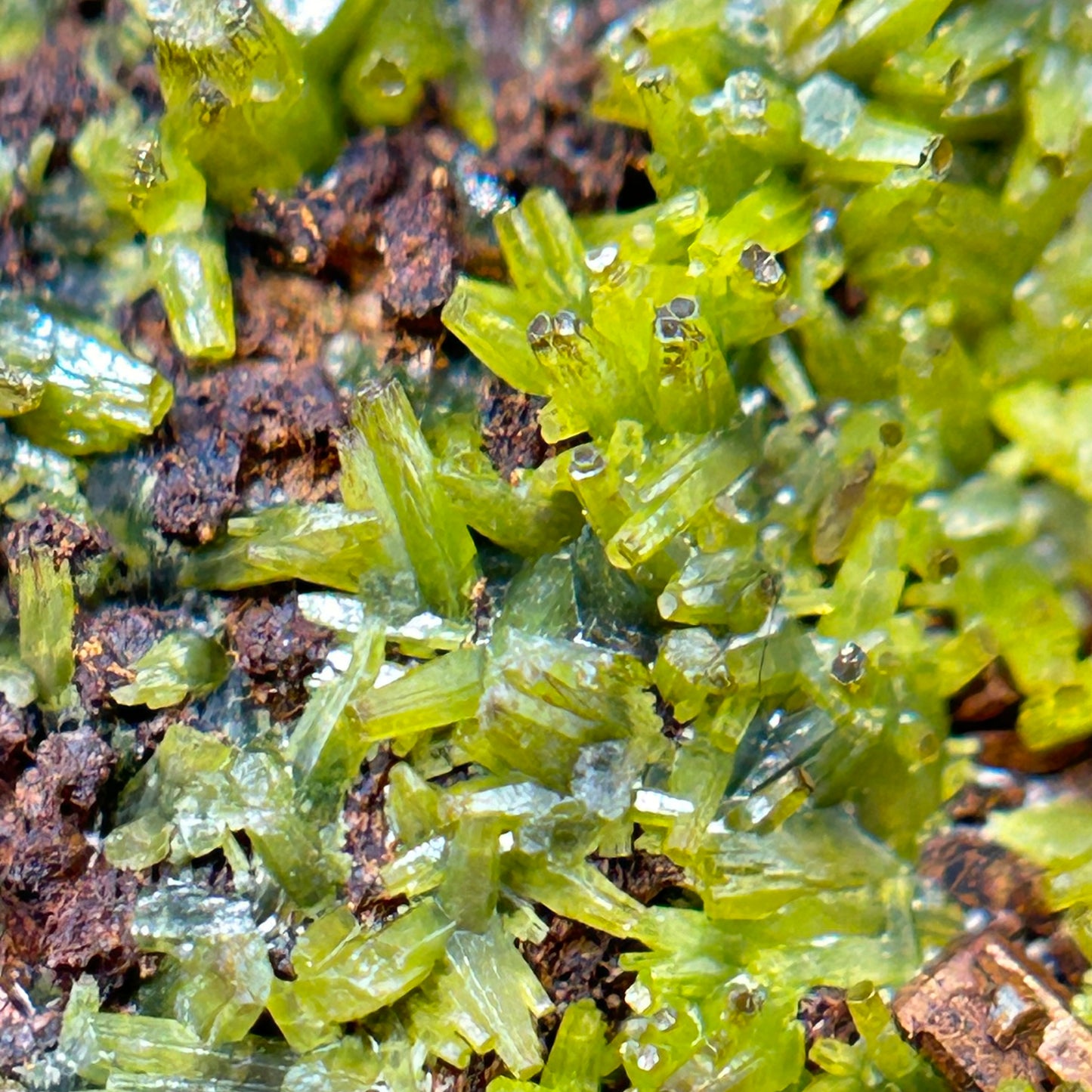 Pyromorphit/e - Hunsrück mountains, Germany