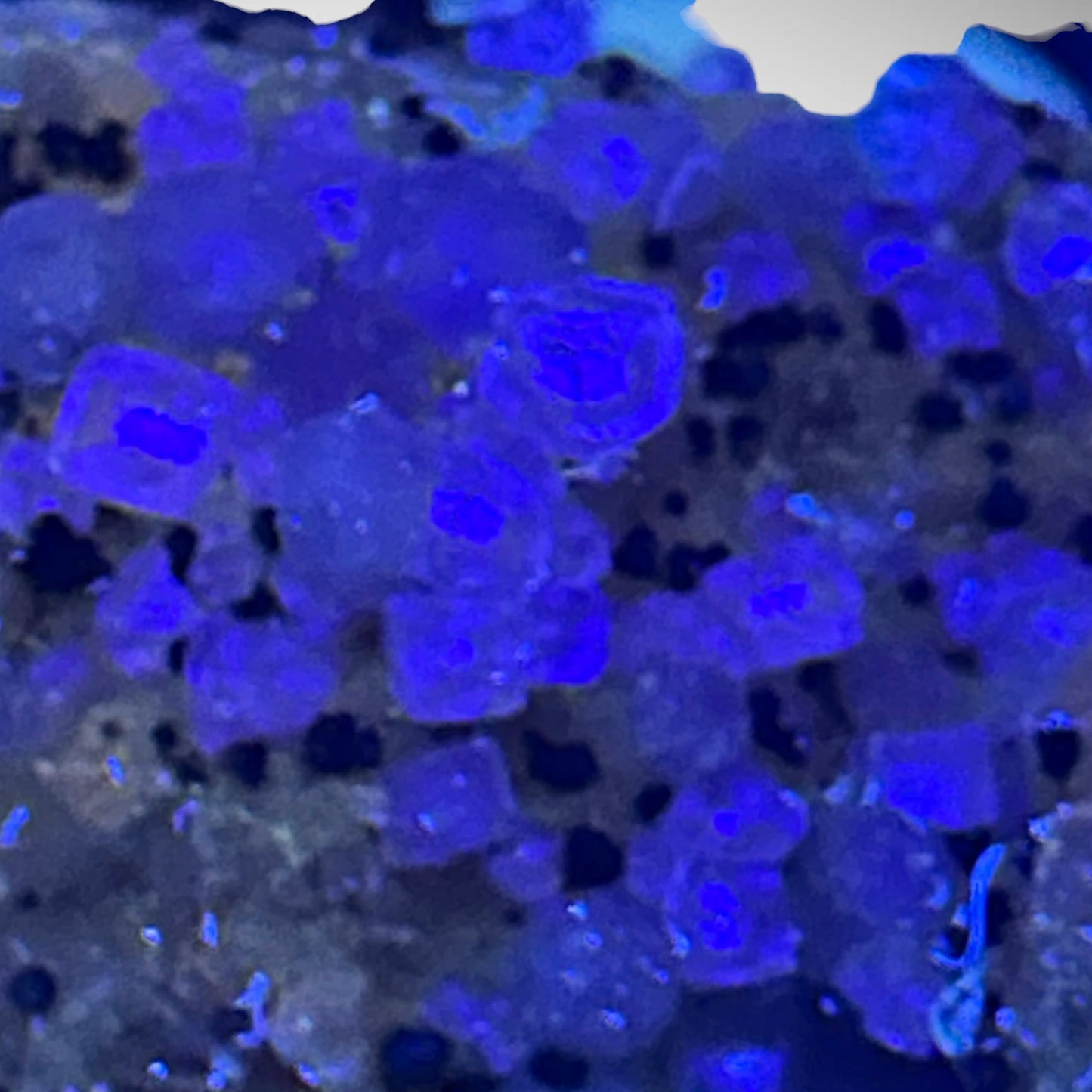 Fluorite, Siderite - Pella, Orange River, RSA