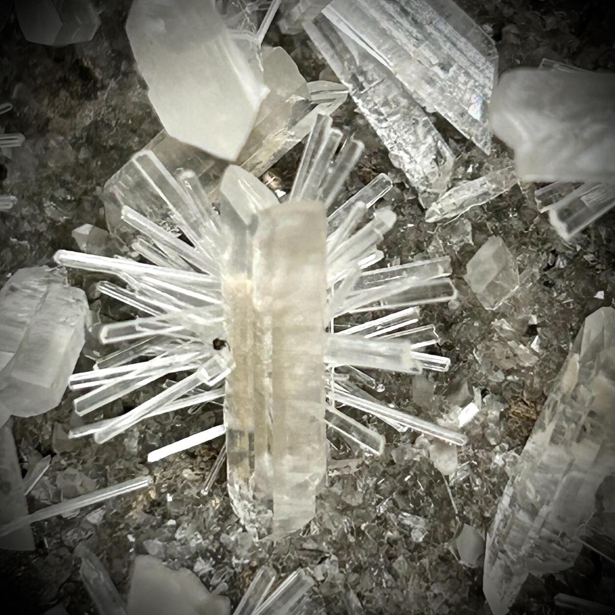 Gypsum