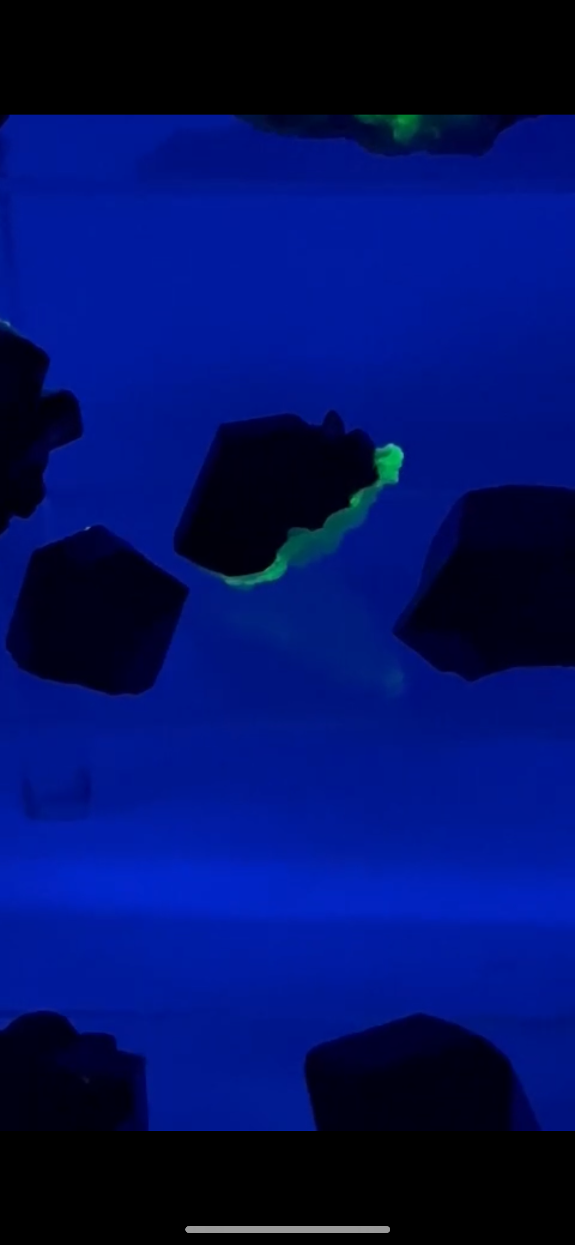 17 x Schorl Tourmaline - Erongo, Namibia