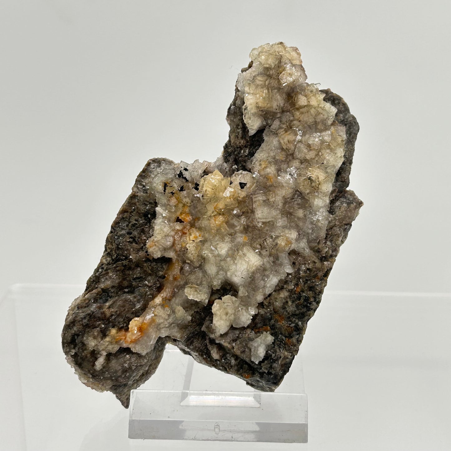 Fluorite - 3. Sohle, Lorenz Stehender, Ehrenfriedersdorf