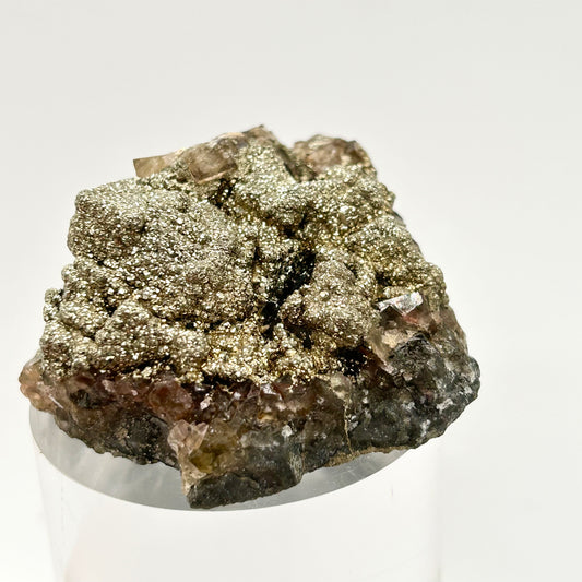 Marcasite on Fluorite - Annaberg, Frohnau, Erzgebirge