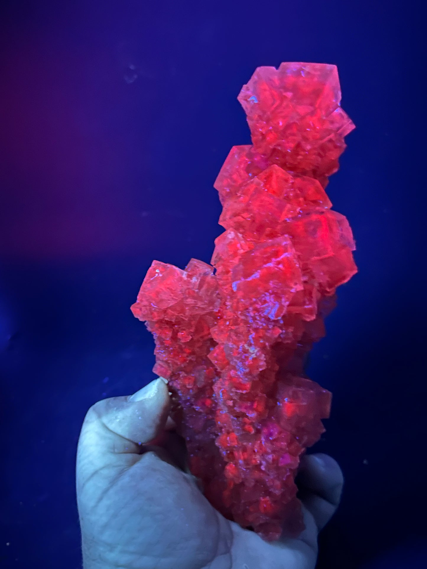 Halite Stalagmite - Bleicherode, Harz