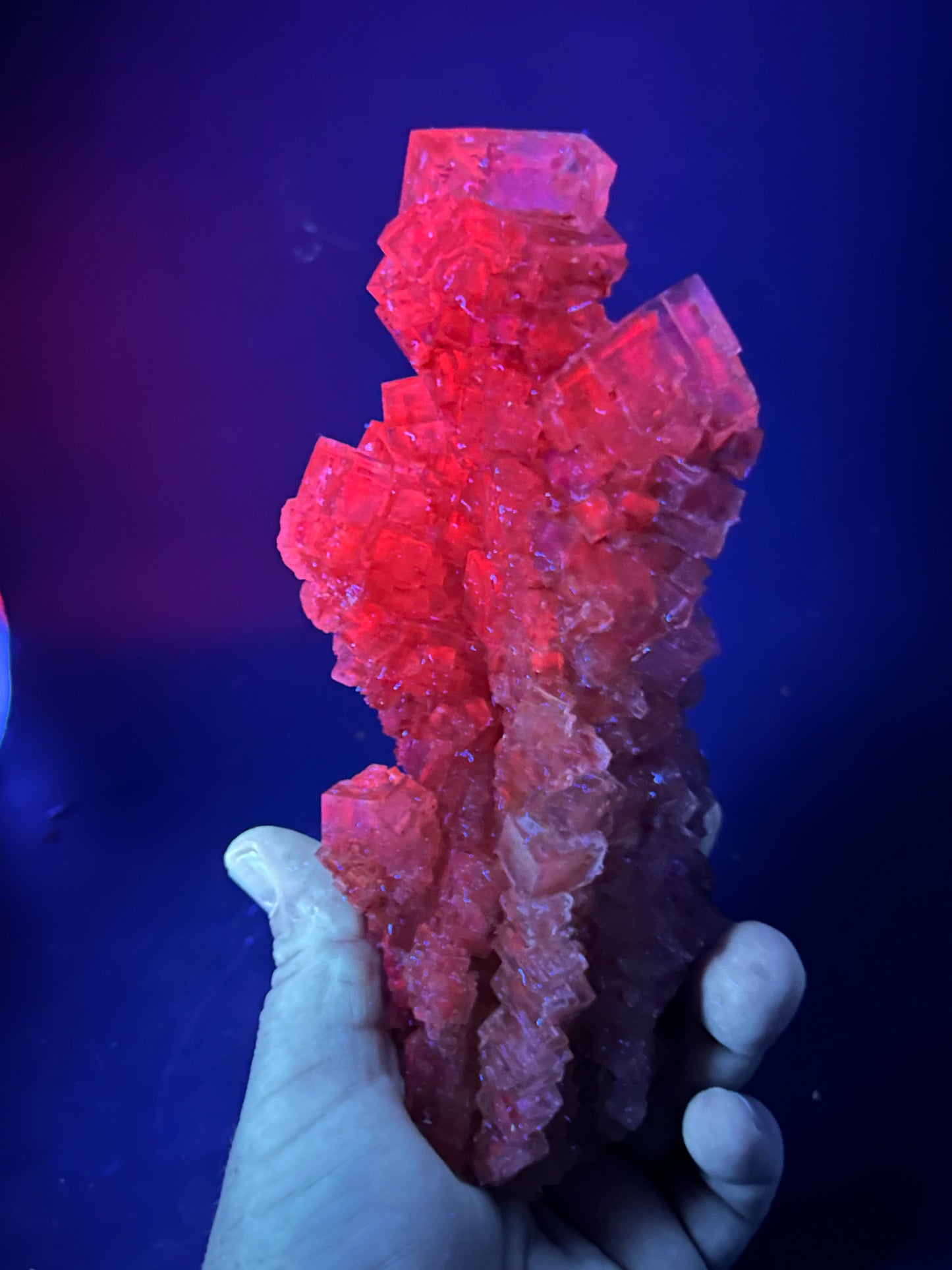 Halite Stalagmite - Bleicherode, Harz