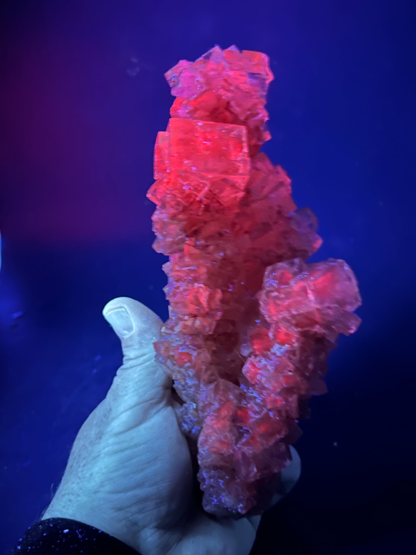 Halite Stalagmite - Bleicherode, Harz