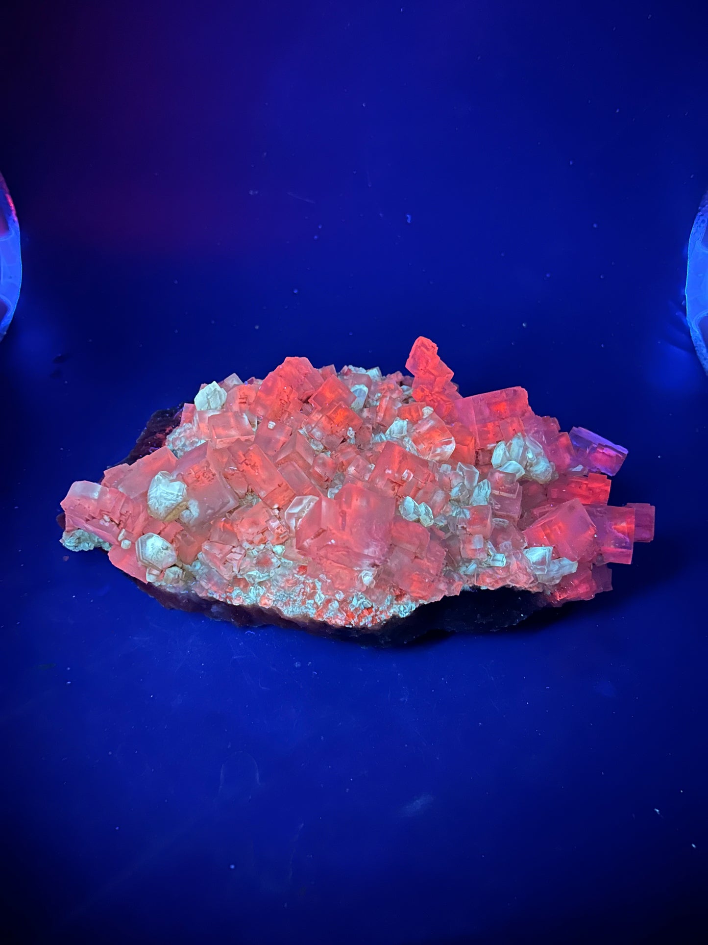 Halite & Gypsum - Bleicherode, Harz