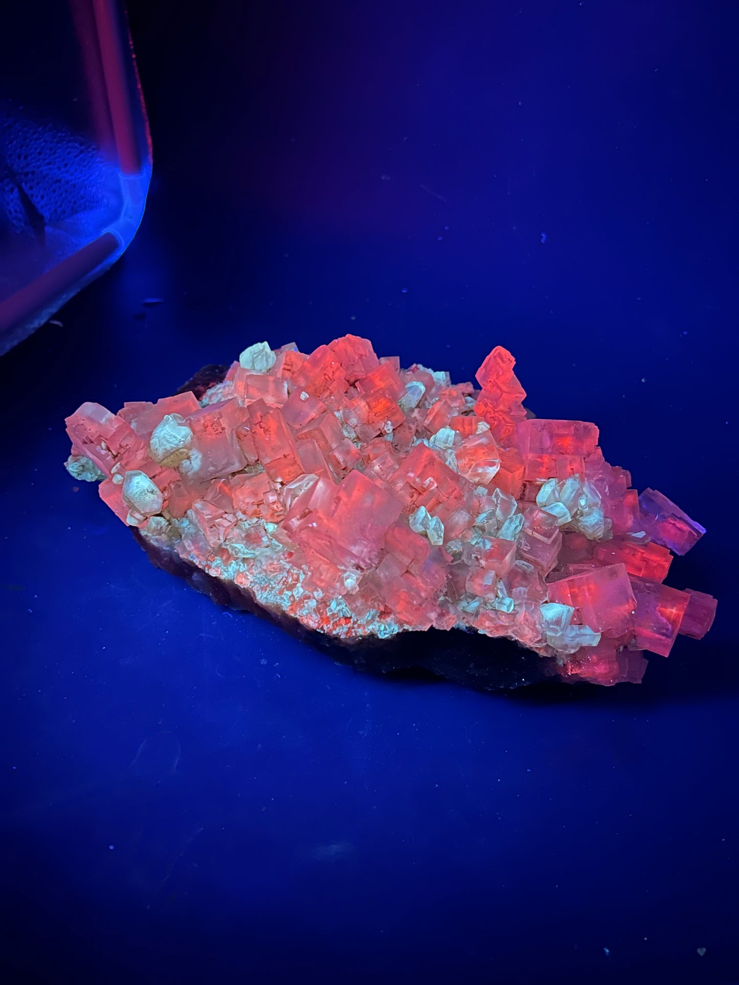 Halite & Gypsum - Bleicherode, Harz