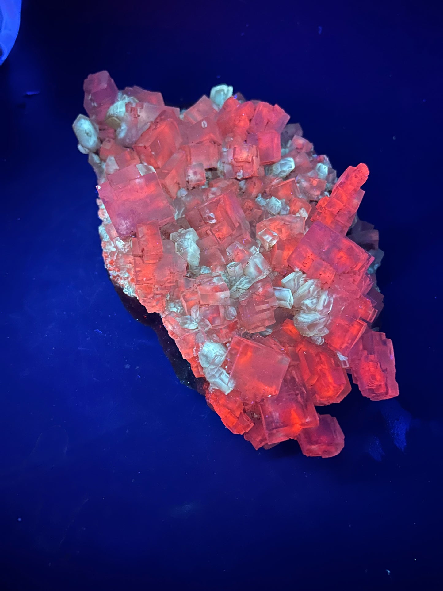 Halite & Gypsum - Bleicherode, Harz