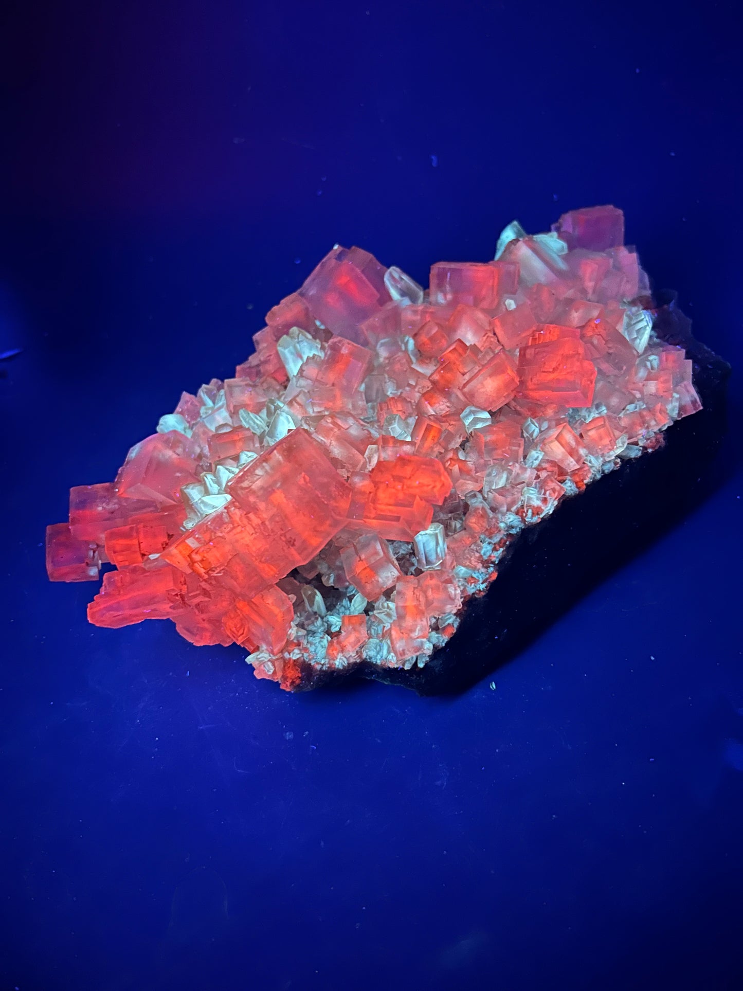 Halite & Gypsum - Bleicherode, Harz
