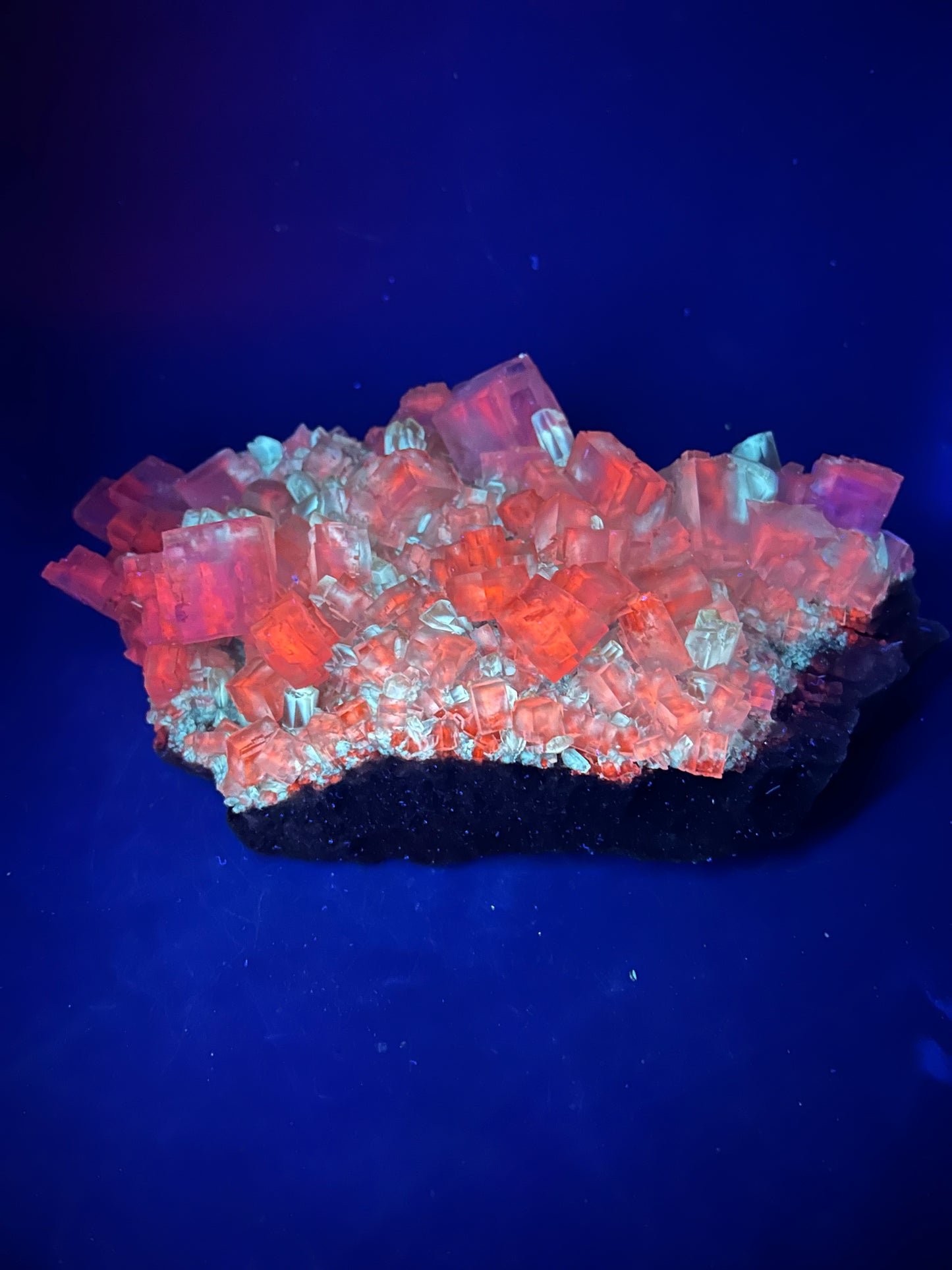 Halite & Gypsum - Bleicherode, Harz