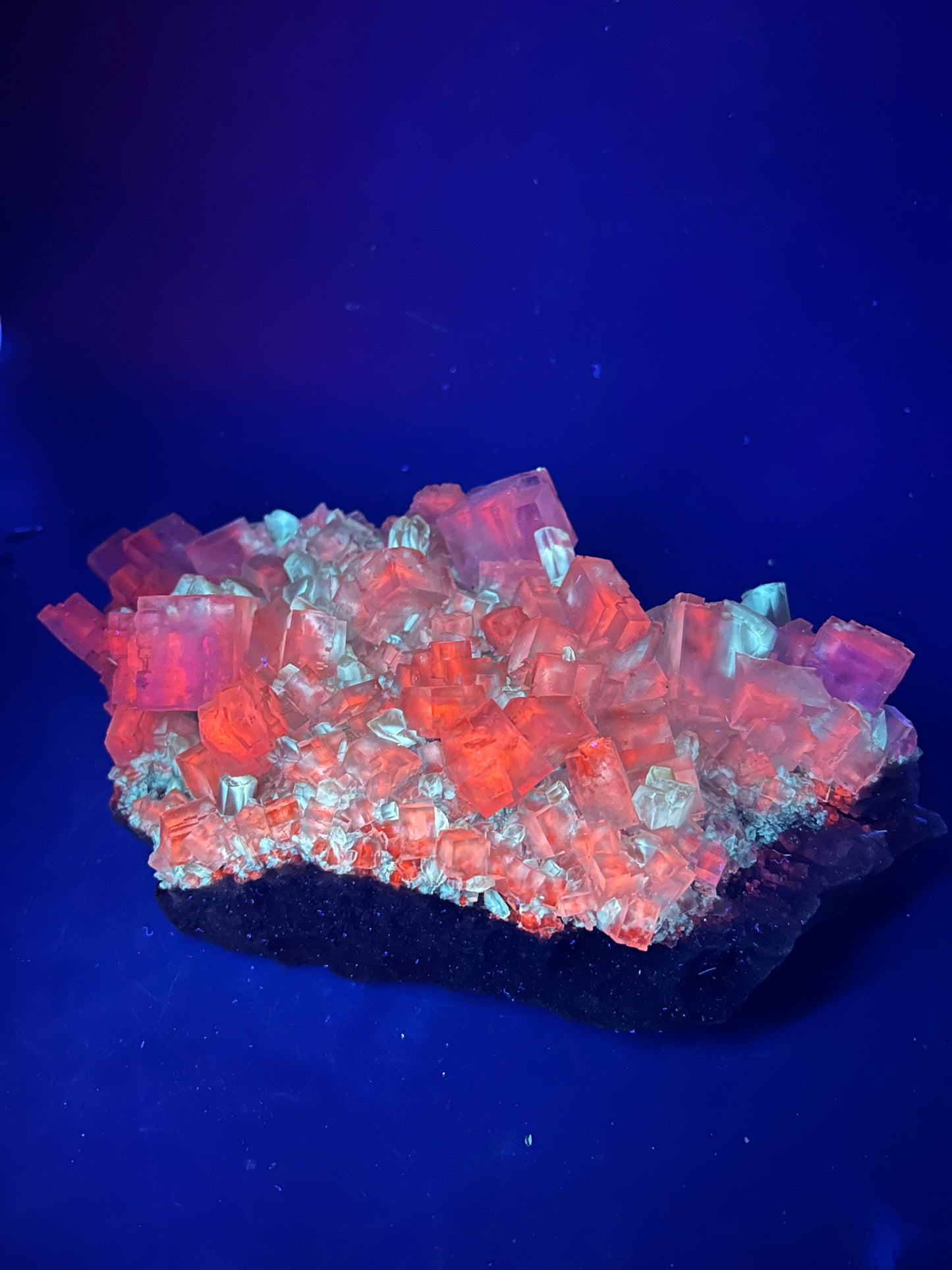 Halite & Gypsum - Bleicherode, Harz
