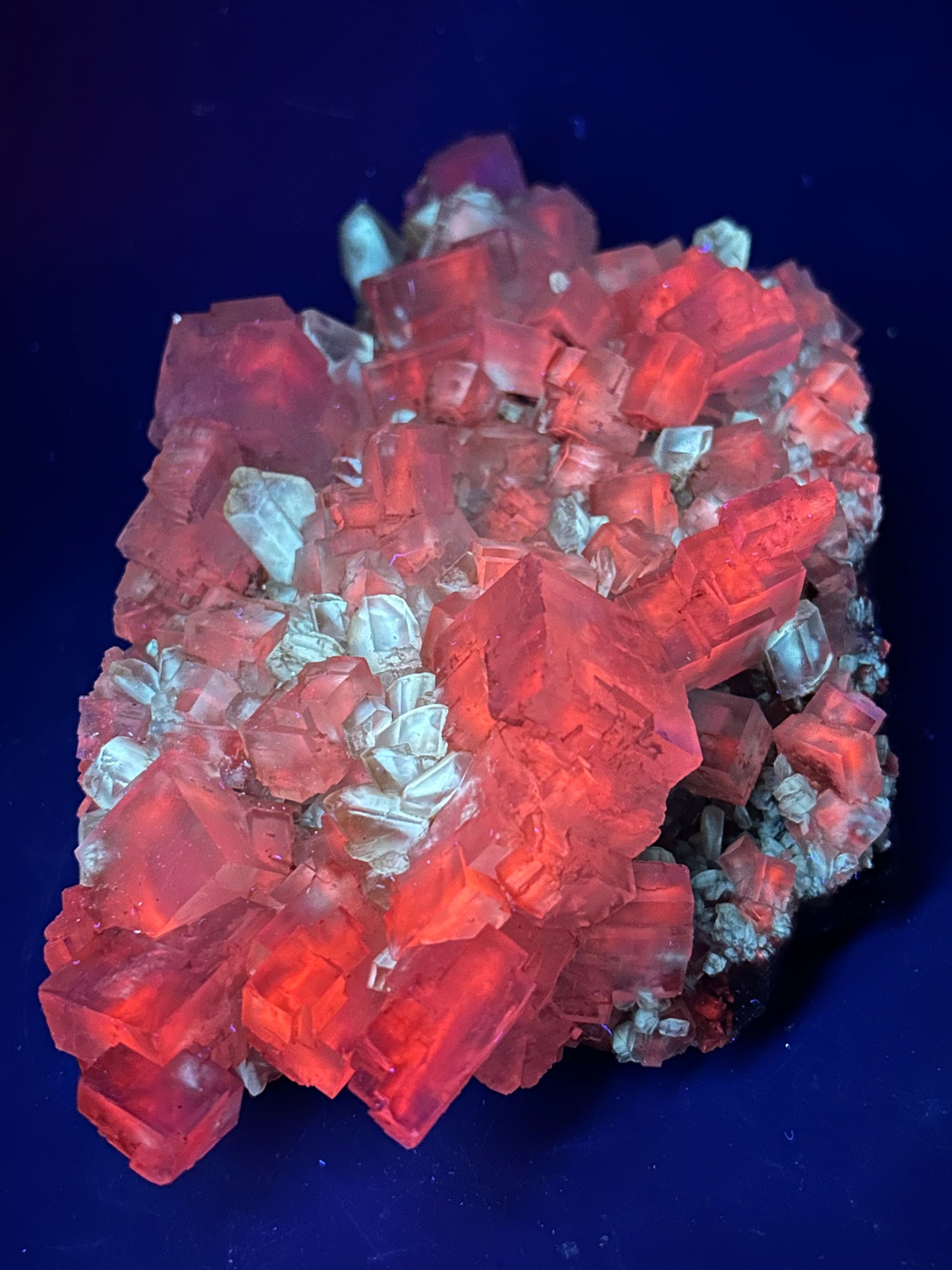 Halite & Gypsum - Bleicherode, Harz