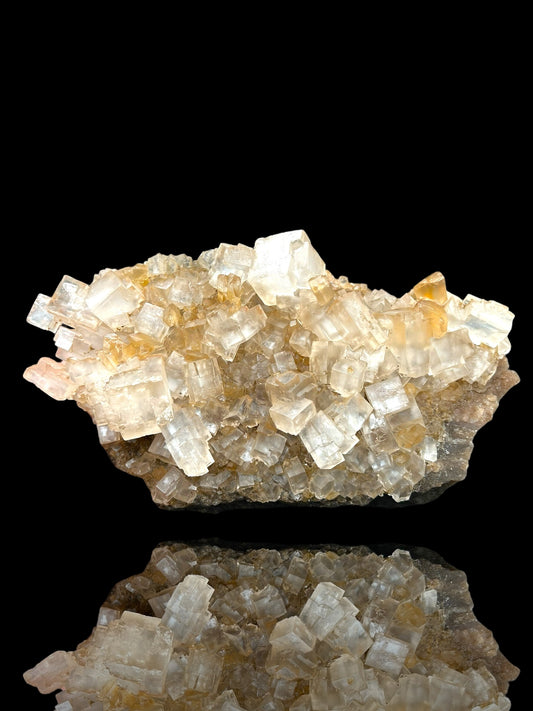 Halite & Gypsum - Bleicherode, Harz