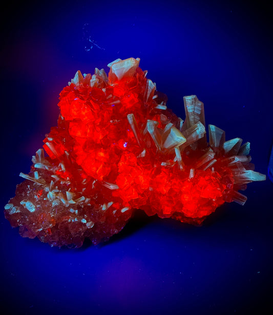 Halite, Sylvite - Bleicherode, Thuringia