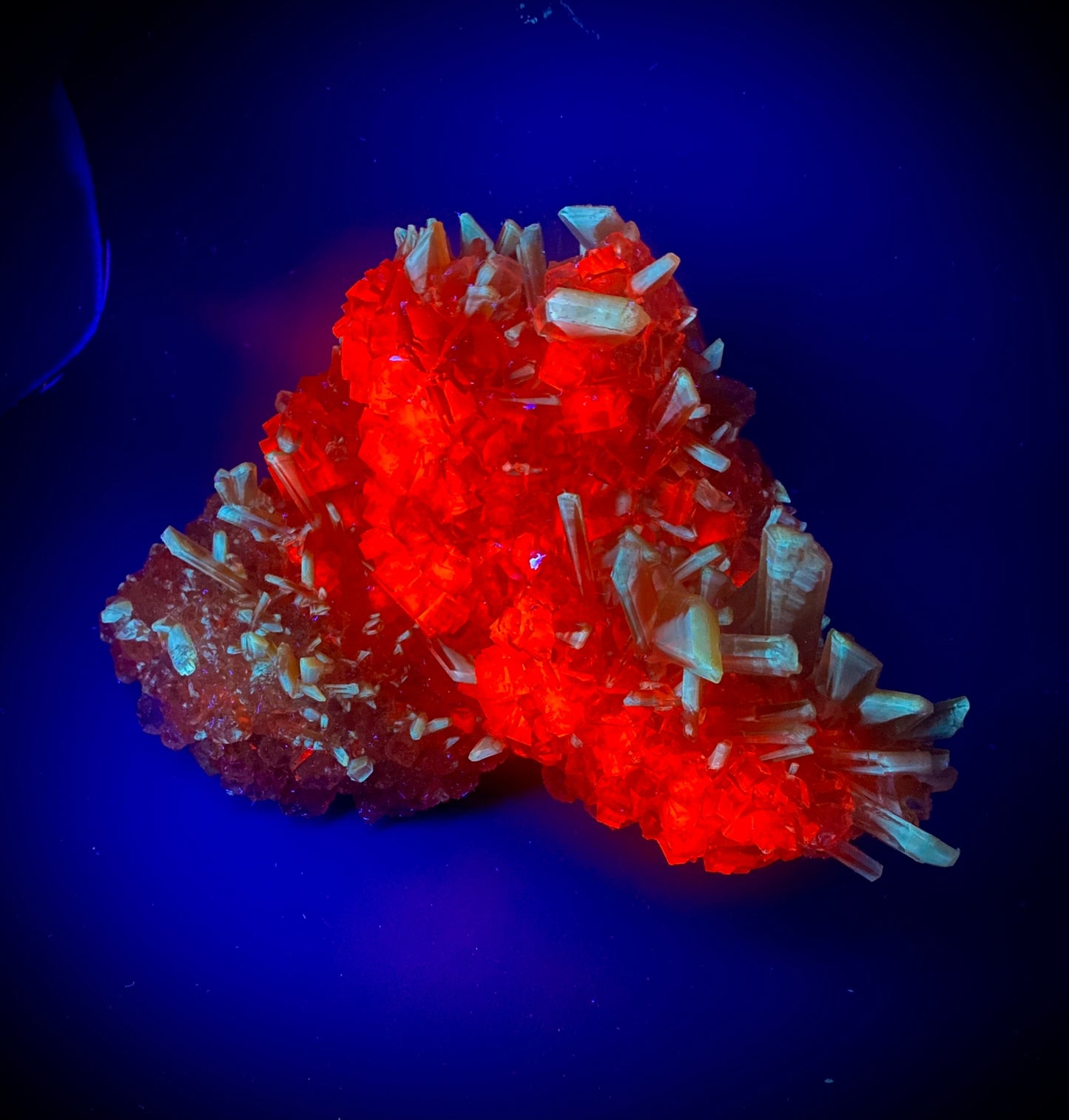 Halite, Sylvite - Bleicherode, Thuringia