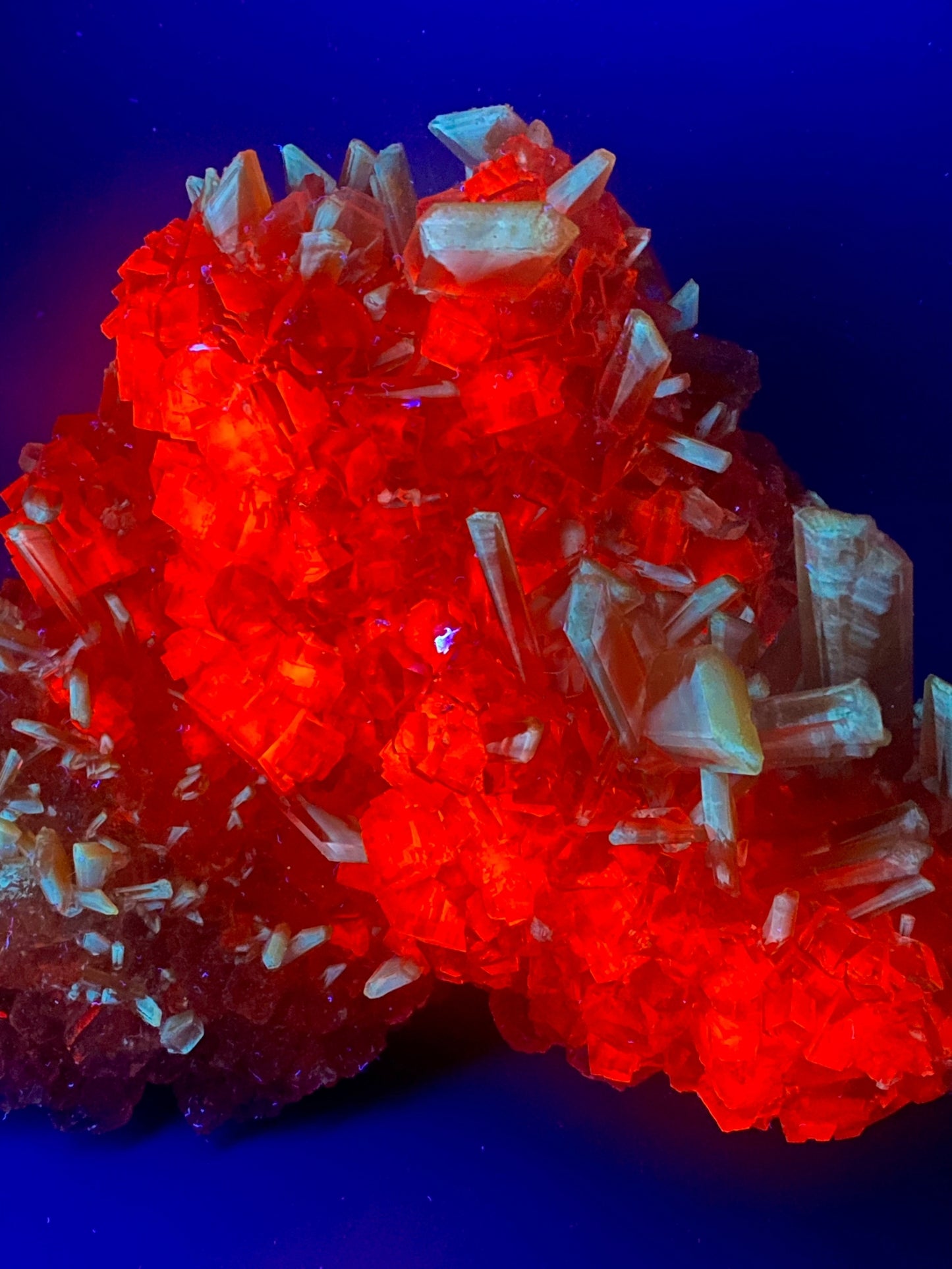 Halite, Sylvite - Bleicherode, Thuringia