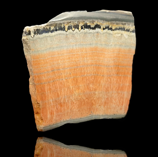 Barytocoelestin/Barytocelestite - Chipping Sodbury Quarry, UK