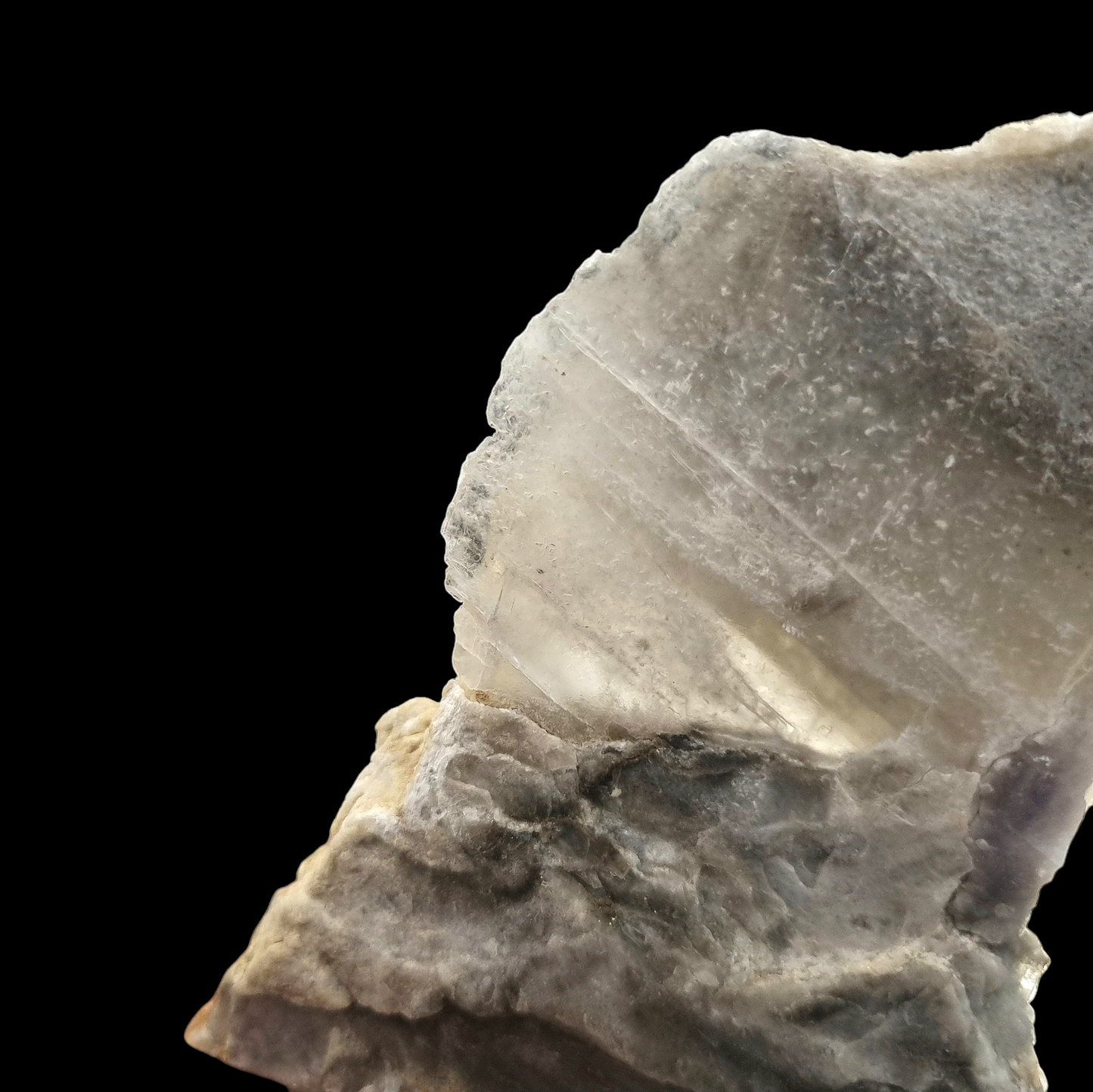Gips/Gypsum & Asphalt - Weenzen