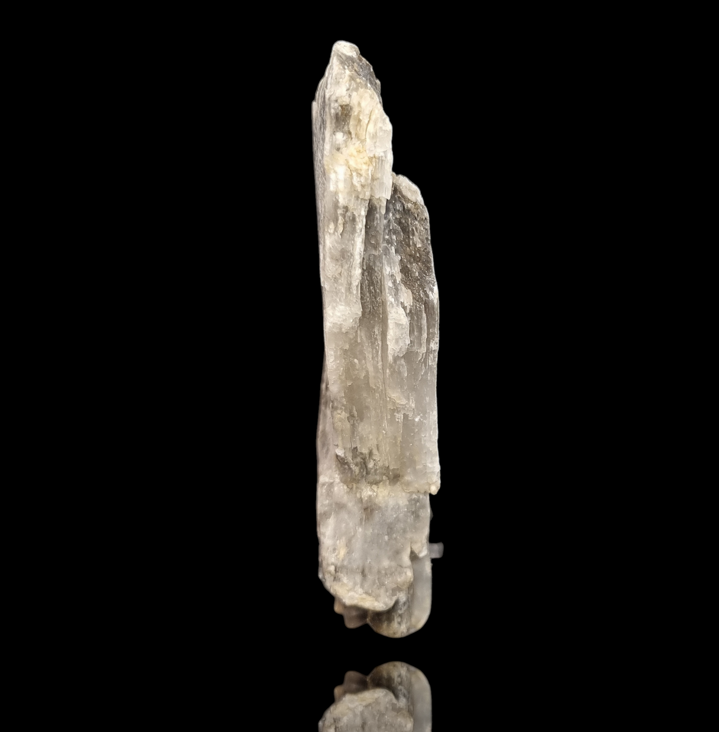 Gips/Gypsum & Asphalt - Weenzen