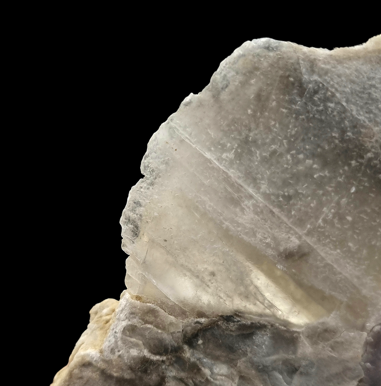 Gips/Gypsum & Asphalt - Weenzen