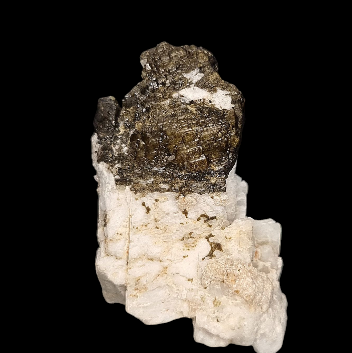 Liddicoatit/e - Sahatany, Madagascar
