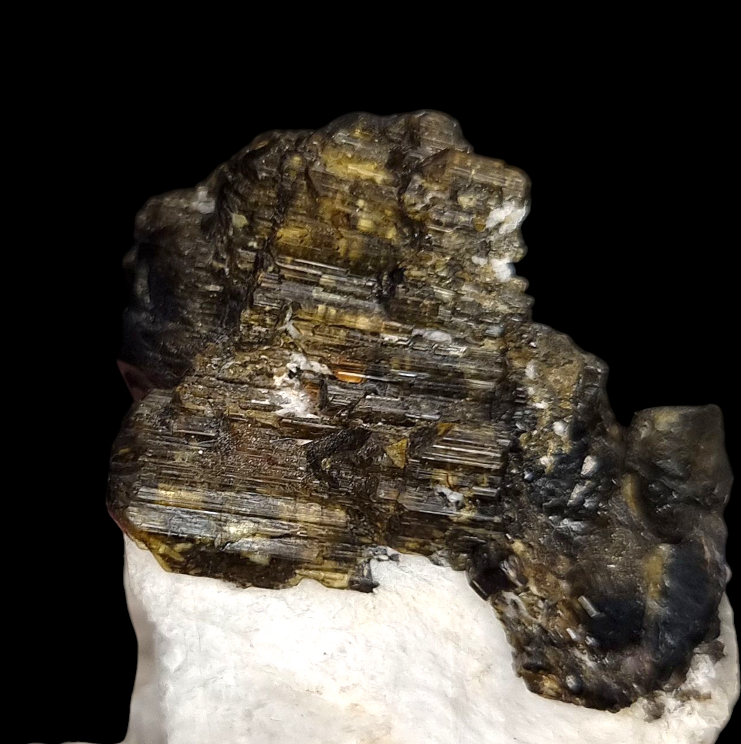 Liddicoatit/e - Sahatany, Madagascar