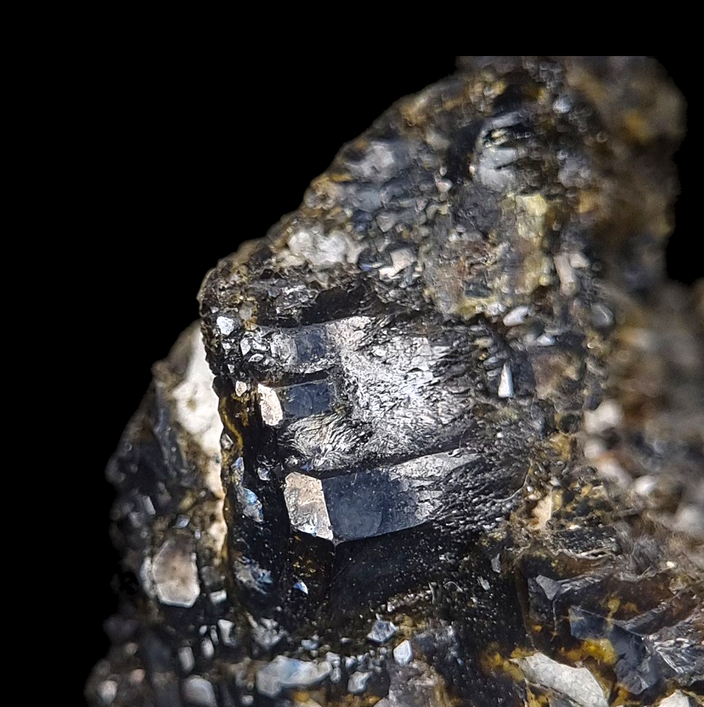 Liddicoatit/e - Sahatany, Madagascar