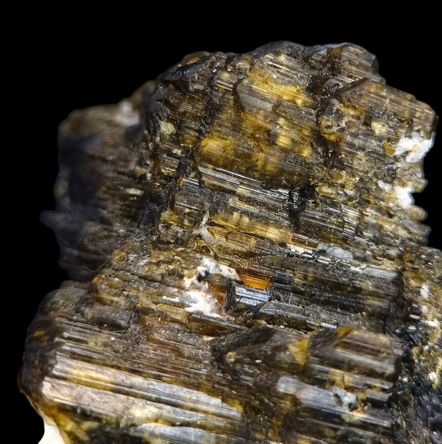 Liddicoatit/e - Sahatany, Madagascar