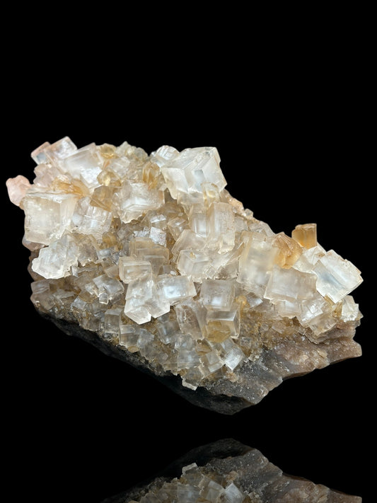 Halite & Gypsum - Bleicherode, Harz
